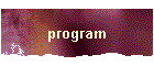program