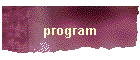 program