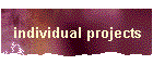 individual projects