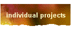 individual projects