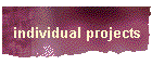 individual projects