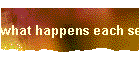 what happens each session