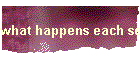 what happens each session